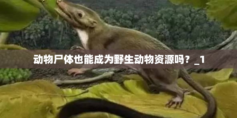 动物尸体也能成为野生动物资源吗？_1