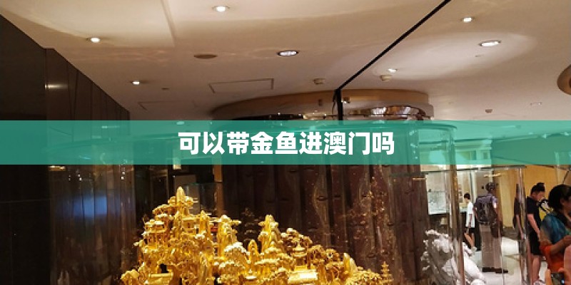 可以带金鱼进澳门吗
