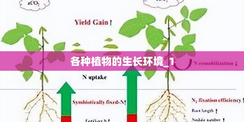 各种植物的生长环境_1