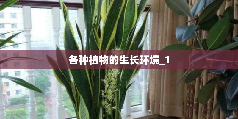 各种植物的生长环境_1