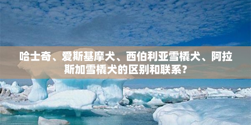 哈士奇、爱斯基摩犬、西伯利亚雪橇犬、阿拉斯加雪橇犬的区别和联系？
