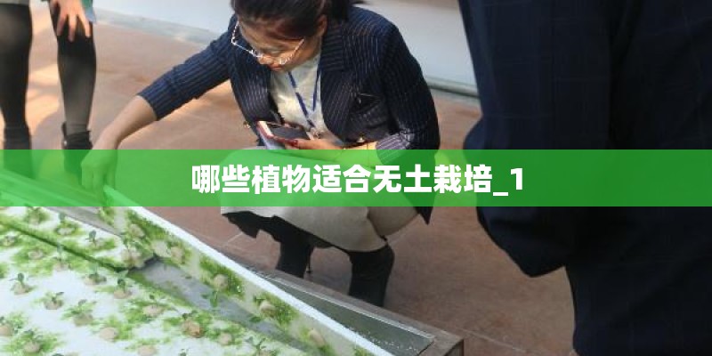 哪些植物适合无土栽培_1