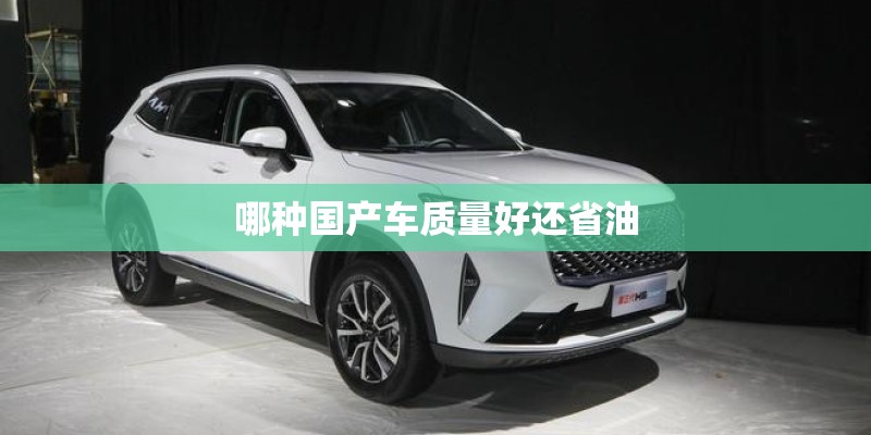 哪种国产车质量好还省油 哪种国产车质量好还省油