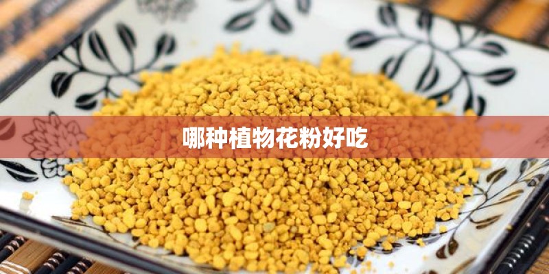 哪种植物花粉好吃
