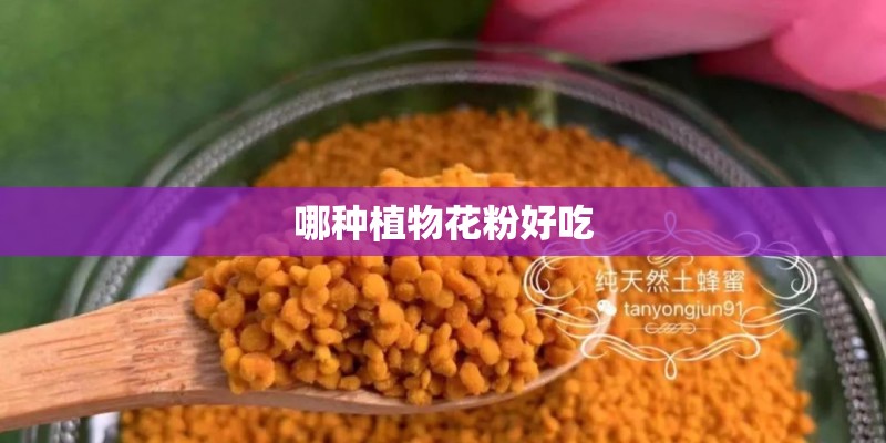 哪种植物花粉好吃