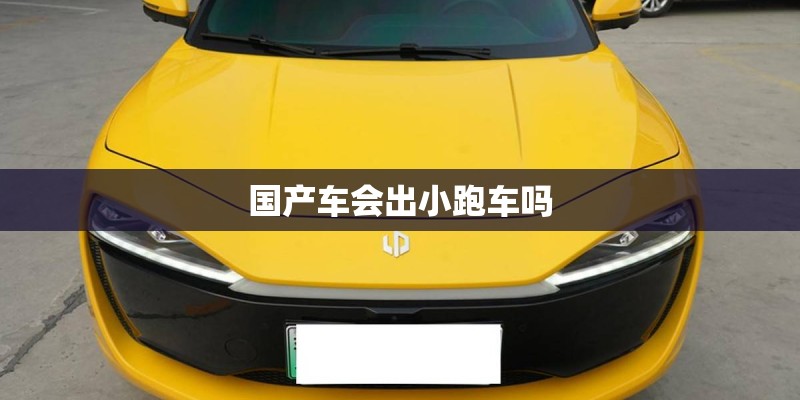 国产车会出小跑车吗