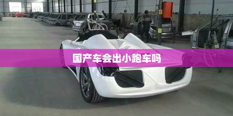 国产车会出小跑车吗