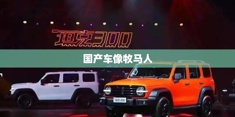国产车像牧马人