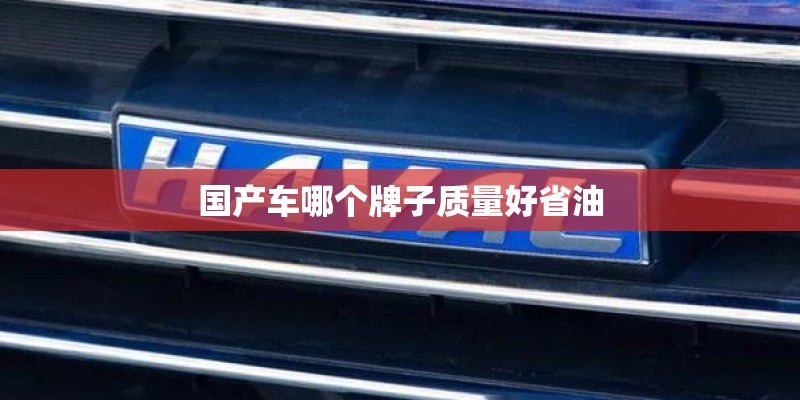 国产车哪个牌子质量好省油