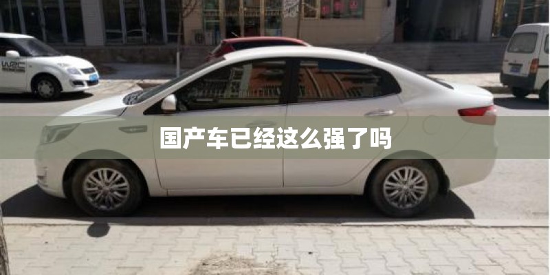 国产车已经这么强了吗
