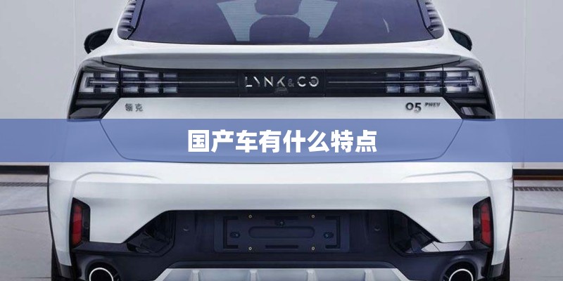 国产车有什么特点