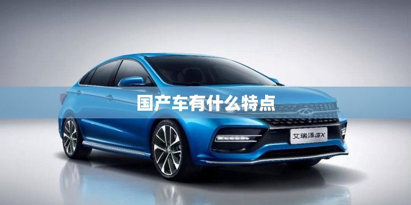 国产车有什么特点