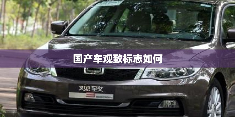 国产车观致标志如何