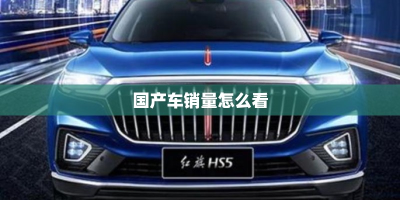 国产车销量怎么看