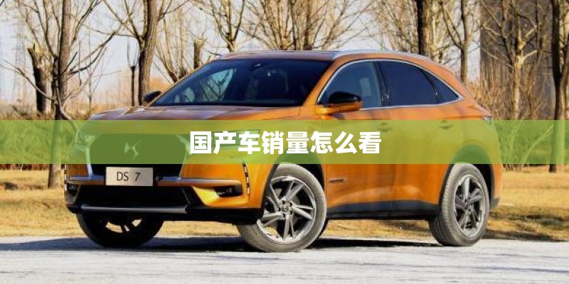 国产车销量怎么看