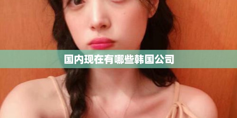 国内现在有哪些韩国公司
