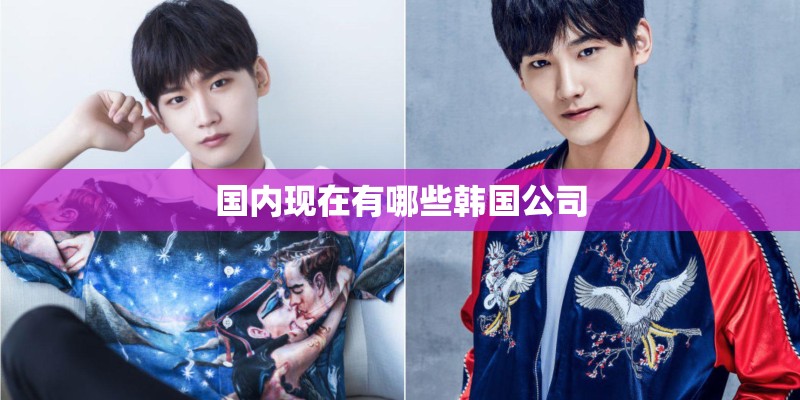 国内现在有哪些韩国公司