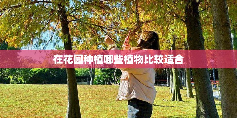 在花园种植哪些植物比较适合