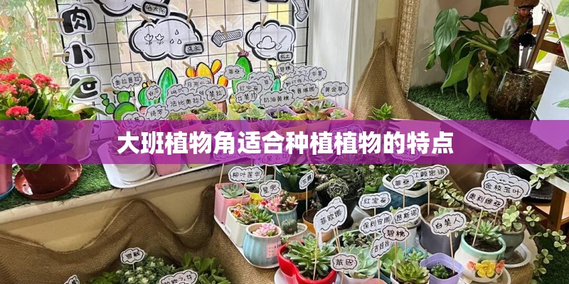 大班植物角适合种植植物的特点