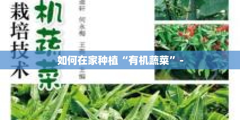 如何在家种植“有机蔬菜”-