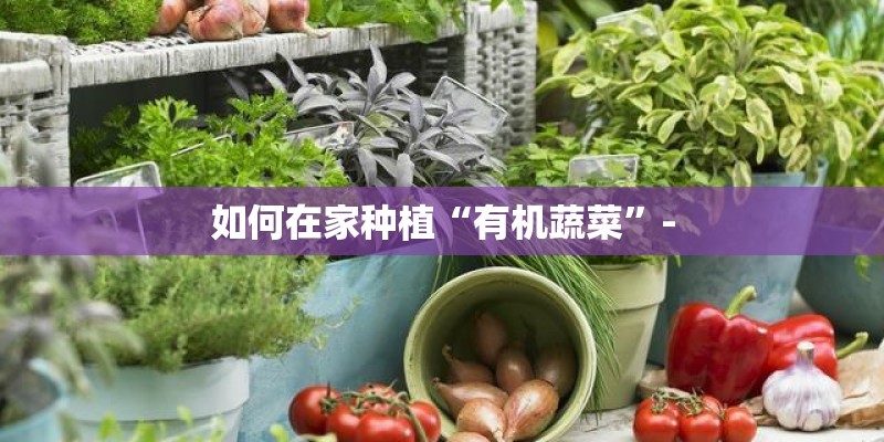 如何在家种植“有机蔬菜”-