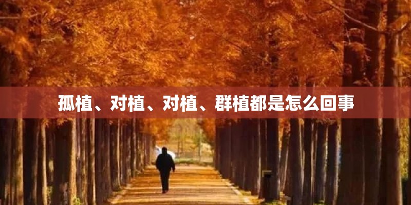 孤植、对植、对植、群植都是怎么回事