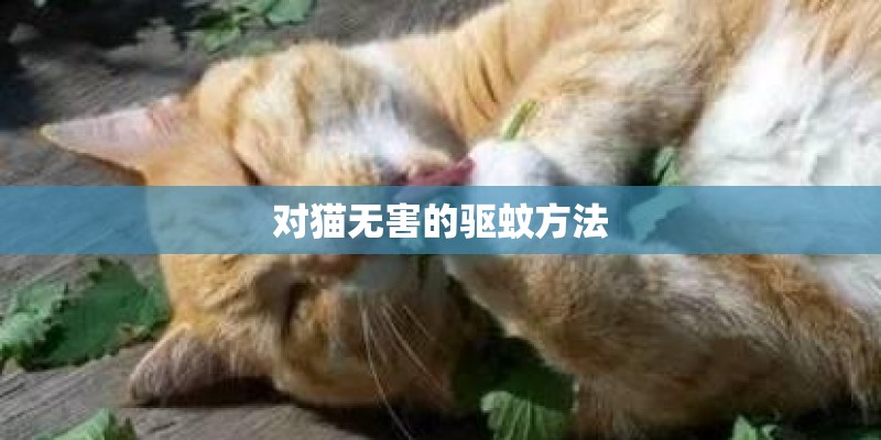 对猫无害的驱蚊方法