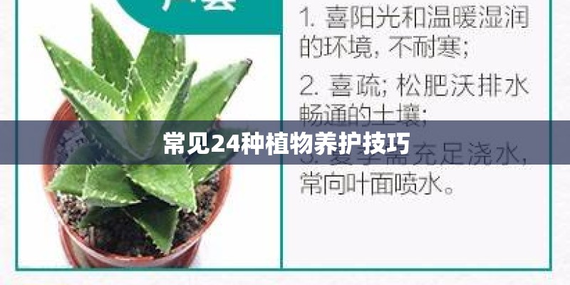 常见24种植物养护技巧