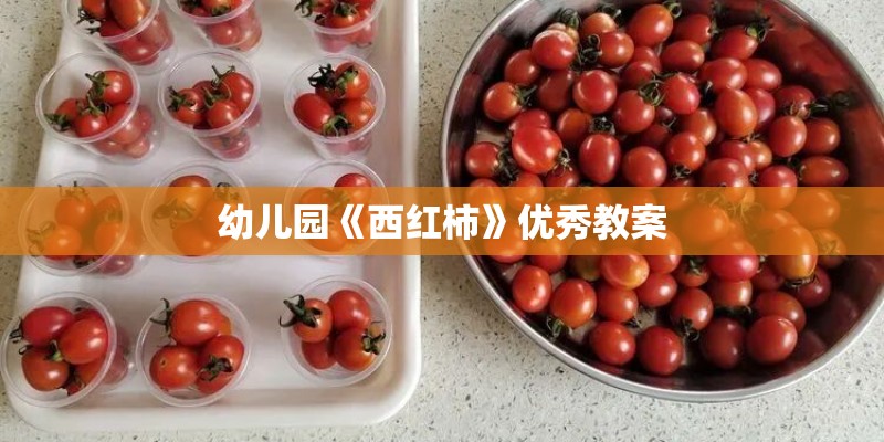 幼儿园《西红柿》优秀教案