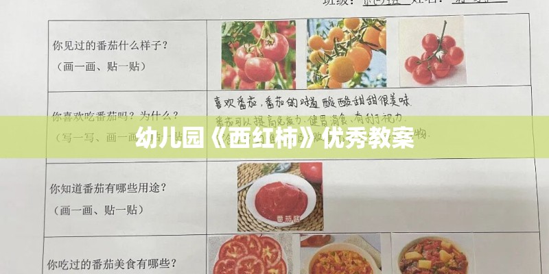 幼儿园《西红柿》优秀教案