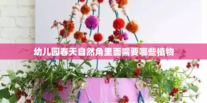 幼儿园春天自然角里面需要哪些植物