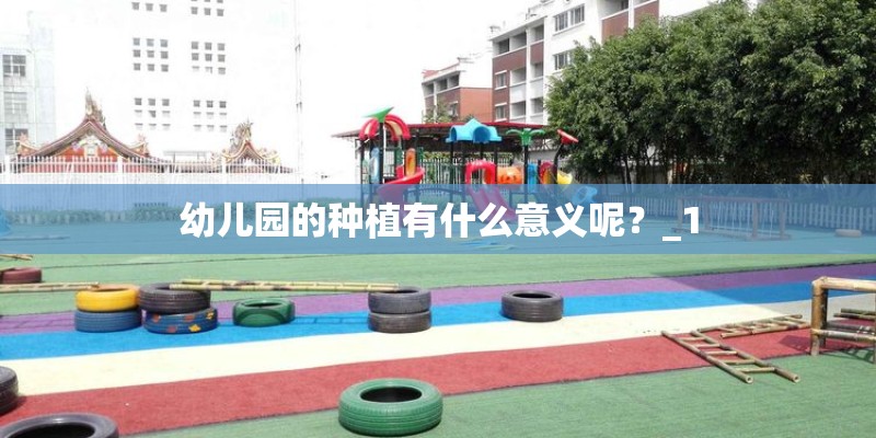 幼儿园的种植有什么意义呢？_1
