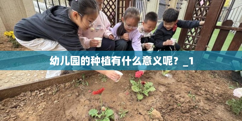 幼儿园的种植有什么意义呢？_1