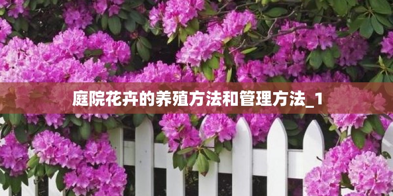 庭院花卉的养殖方法和管理方法_1