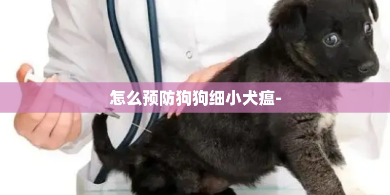 怎么预防狗狗细小犬瘟-