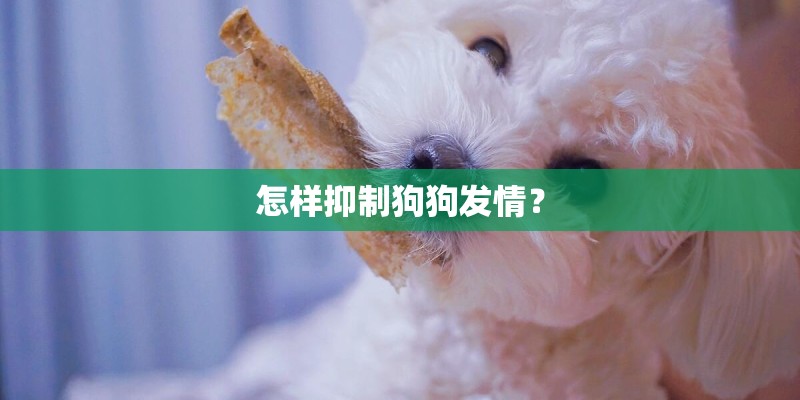 怎样抑制狗狗发情？