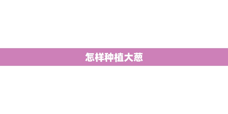 怎样种植大葱