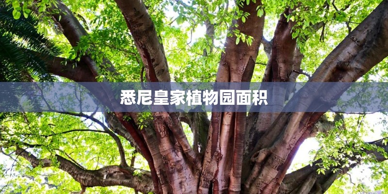 悉尼皇家植物园面积