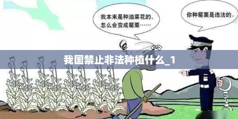 我国禁止非法种植什么_1