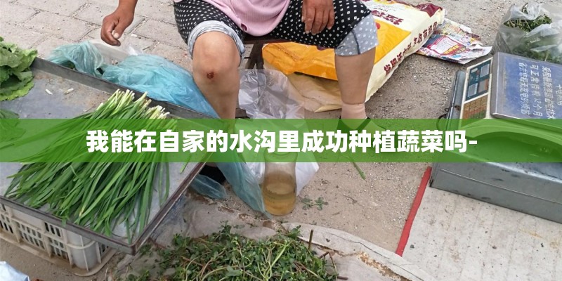 我能在自家的水沟里成功种植蔬菜吗-