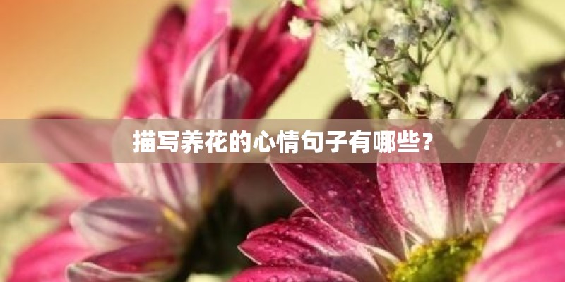 描写养花的心情句子有哪些？