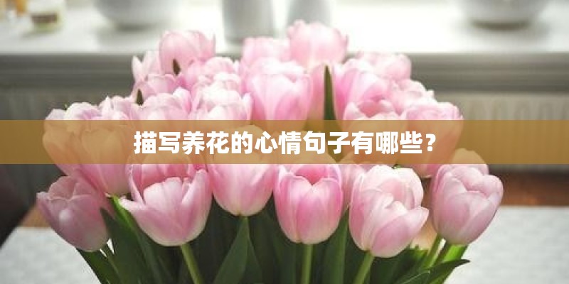 描写养花的心情句子有哪些？