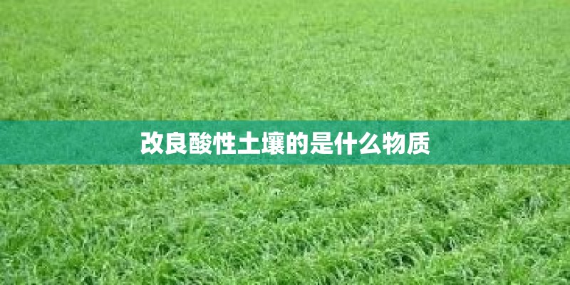 改良酸性土壤的是什么物质