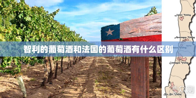 智利的葡萄酒和法国的葡萄酒有什么区别