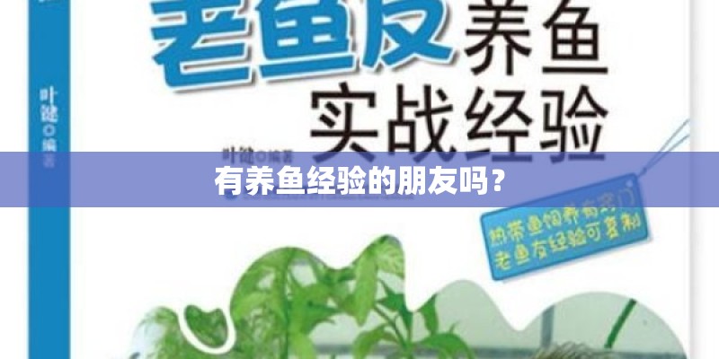 有养鱼经验的朋友吗？