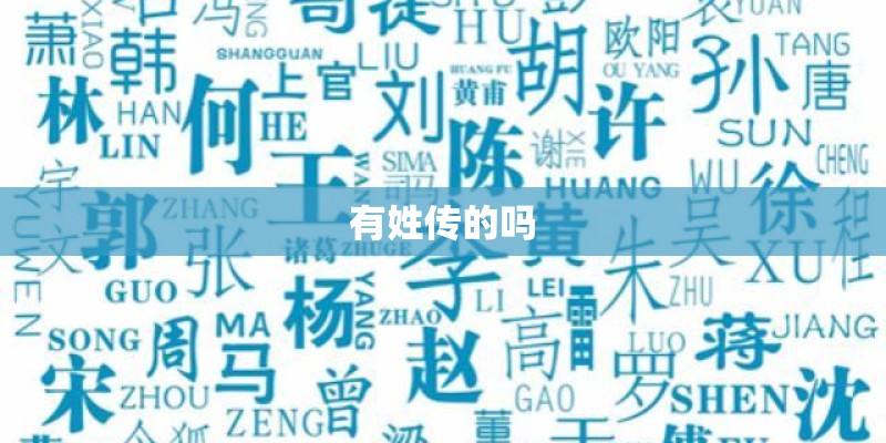 有姓传的吗
