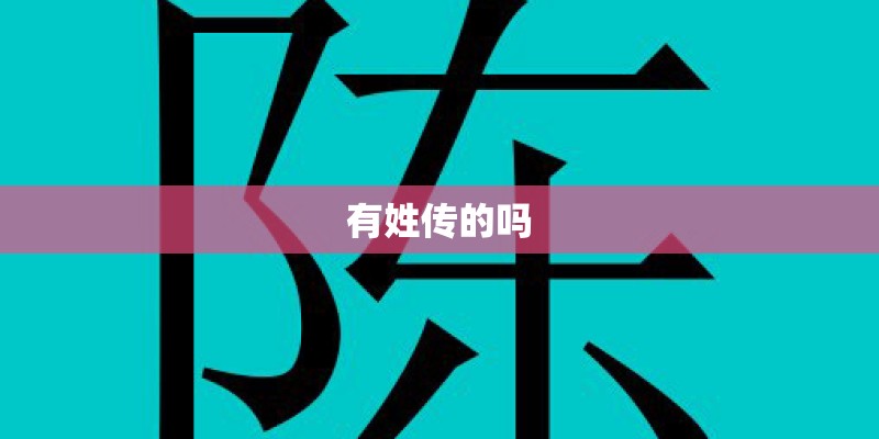 有姓传的吗