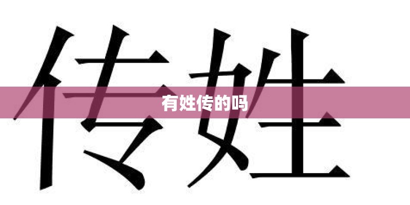 有姓传的吗