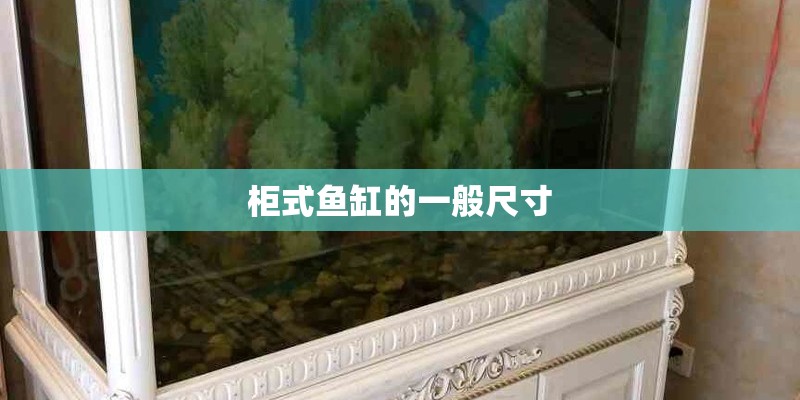 柜式鱼缸的一般尺寸