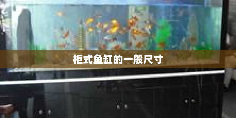 柜式鱼缸的一般尺寸